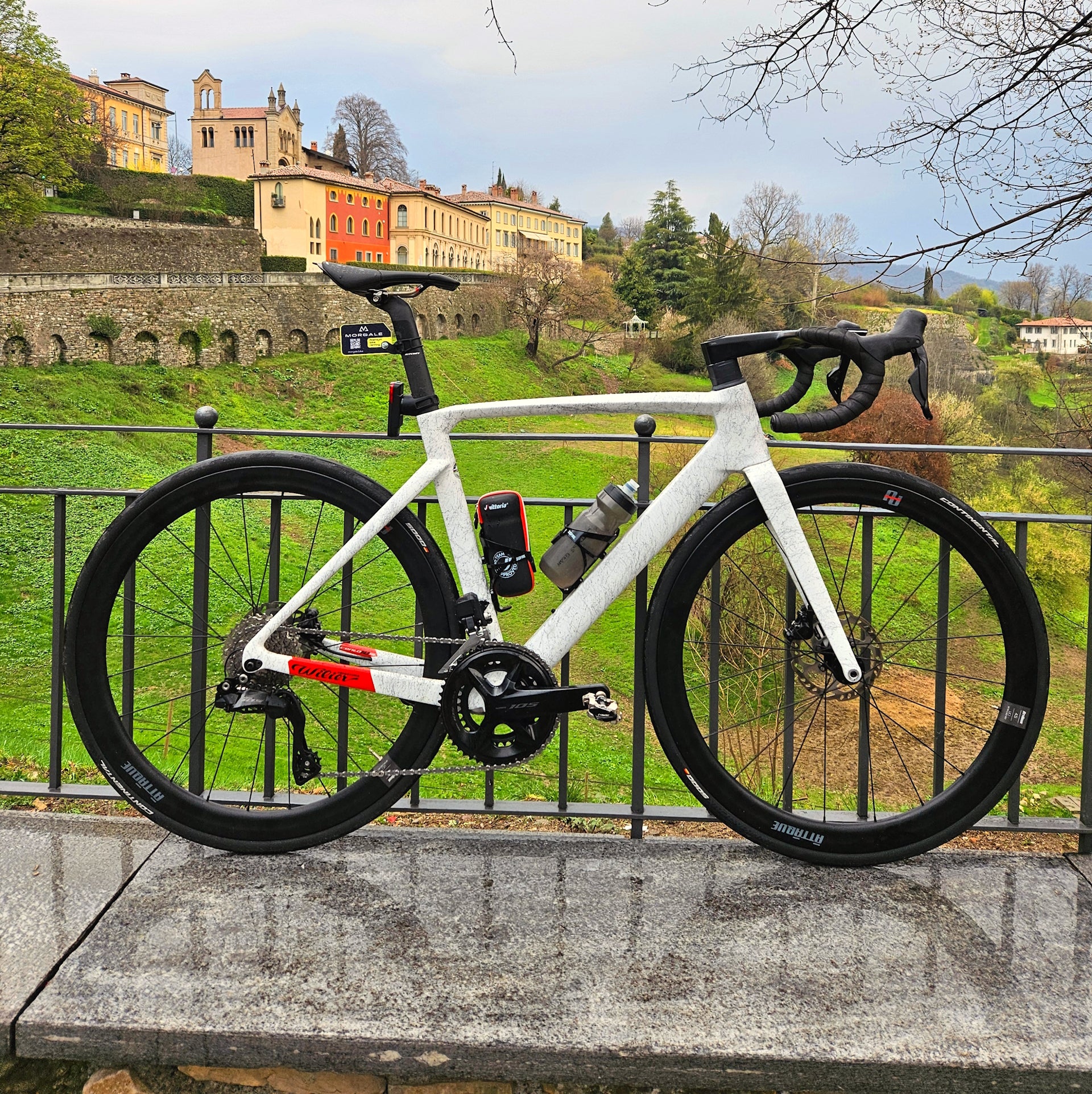 Morgale 110 Carrara 54